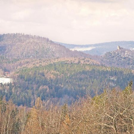 Willa "Sniezna Kopa"-Agroturystyka Pro Zdrowotna Sosnówka Exterior foto