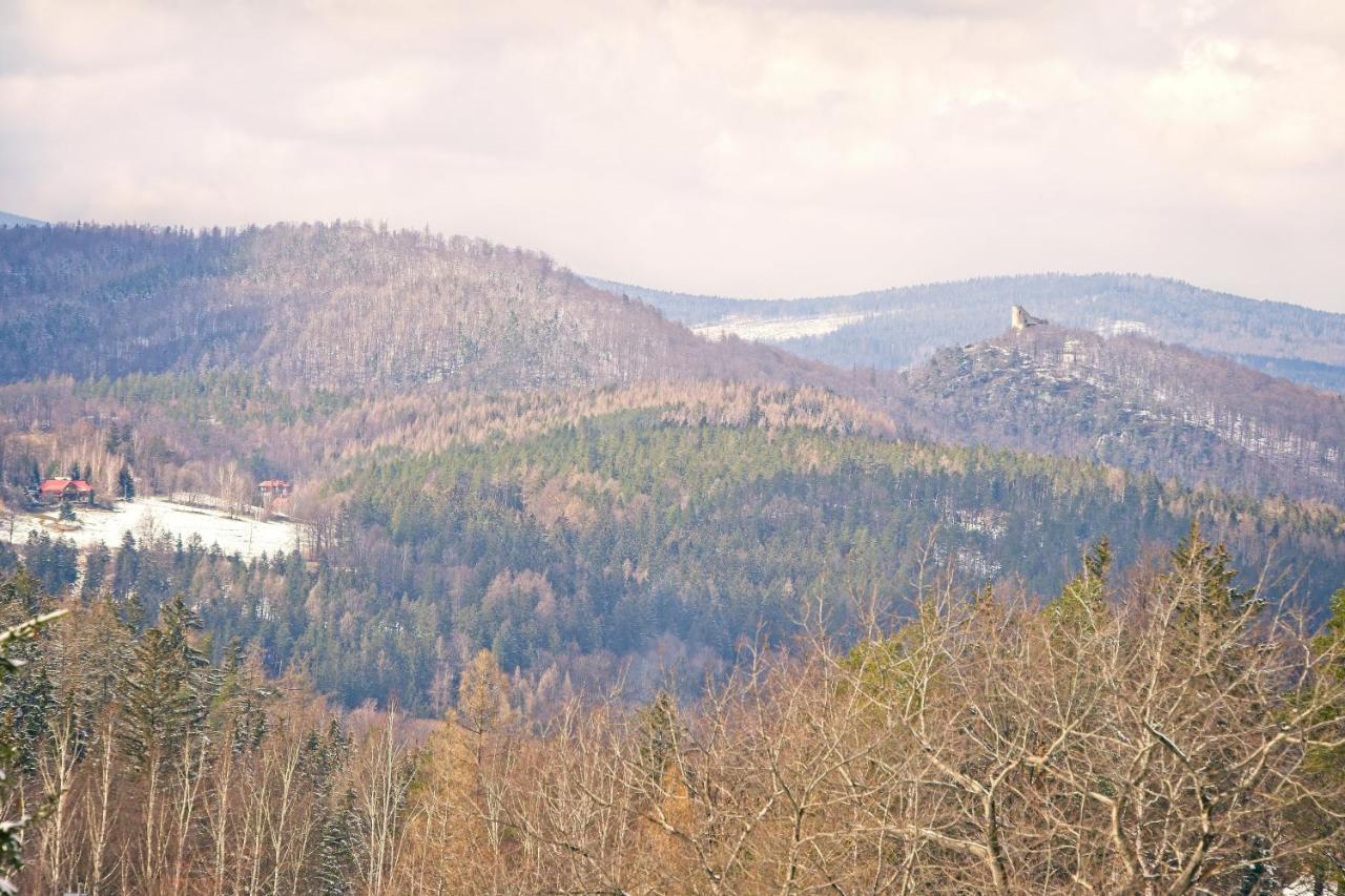 Willa "Sniezna Kopa"-Agroturystyka Pro Zdrowotna Sosnówka Exterior foto