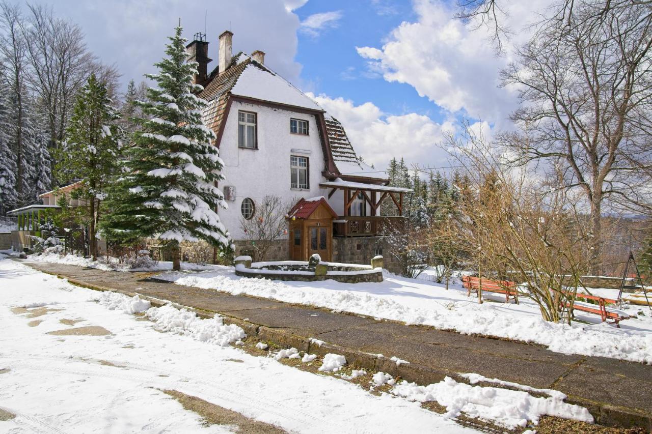 Willa "Sniezna Kopa"-Agroturystyka Pro Zdrowotna Sosnówka Exterior foto