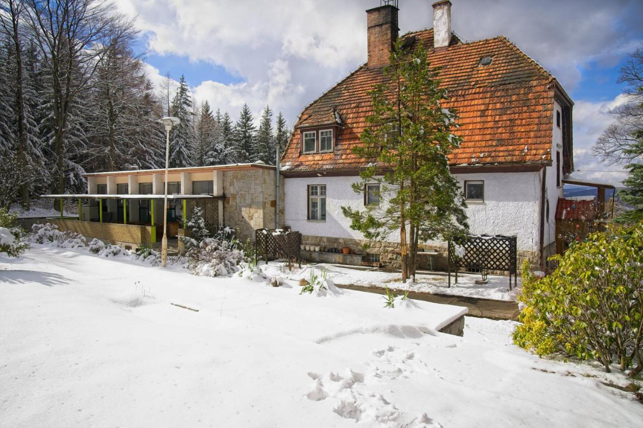 Willa "Sniezna Kopa"-Agroturystyka Pro Zdrowotna Sosnówka Exterior foto