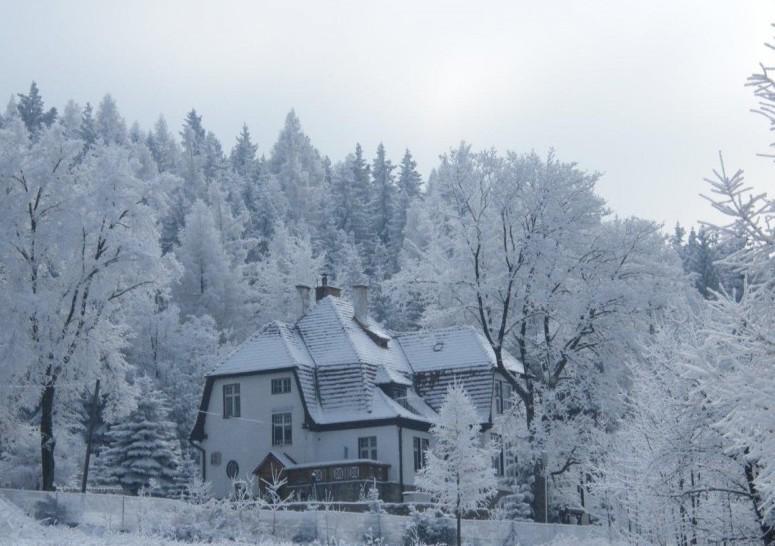 Willa "Sniezna Kopa"-Agroturystyka Pro Zdrowotna Sosnówka Exterior foto